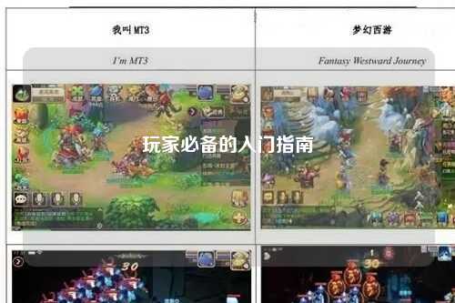 玩家必备的入门指南